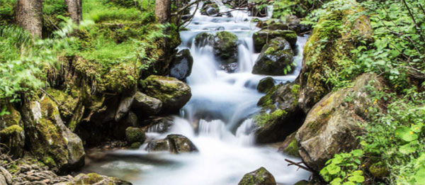 Wasserkraft – Naturstrom der EINHORN-ENERGIE